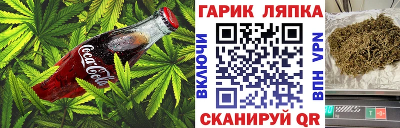 Canna-Cookies марихуана Облучье