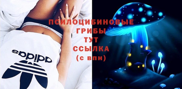 2c-b Белокуриха