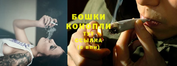 2c-b Белокуриха